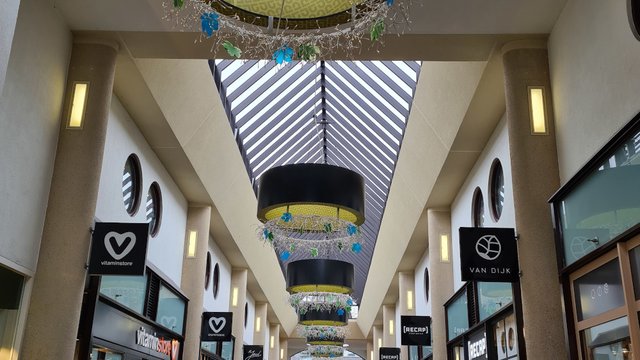 Change money in the netherlands